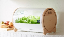 Đã đến thời kỳ trồng rau sạch trong nhà, điều khiển qua smartphone