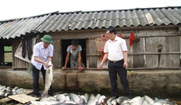 Nước sông đổi màu, cá chết hàng loạt: Phó Chủ tịch tỉnh Thanh Hóa trực tiếp xuống hiện trường