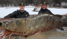 Bắt được tôm khủng nặng hơn 145kg ở Canada