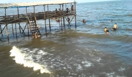 Công an truy tìm người tung tin cá chết dạt vào Cồn Vành, Thái Bình