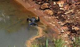 Phát hiện thi thể nam giới nổi trên mặt hồ