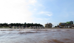 Thực hư thông tin cá chết hàng loạt ở bờ biển Cồn Vành, Thái Bình