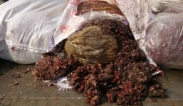 Tiêu hủy hàng tấn me bẩn trước khi đến tay người tiêu dùng