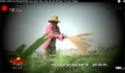 Những phóng viên gian dối bị đuổi việc