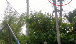 Hỗ trợ 150 triệu đồng cho gia đình công nhân bị điện giật chết khi đã ngắt điện