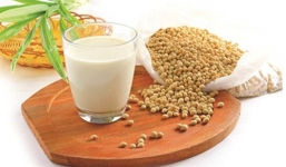 Tác dụng thần kỳ của sữa đậu nành đối với sức khỏe và làm đẹp