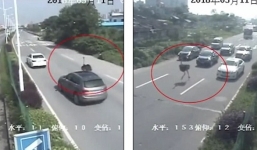 Video đà điểu chết thảm khi chạy trên đường cao tốc 