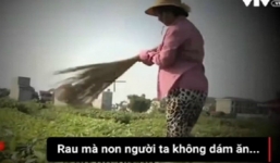 Vụ 'Cây chổi quét rau': Phạt VTV 50 triệu đồng, buộc phải cải chính xin lỗi