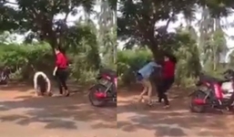 Xôn xao clip 2 nữ sinh lớp 8 đánh nhau dữ dội ở Hội An
