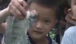 Cận cảnh cá rô phi hai đầu cực hiếm ở Trung Quốc