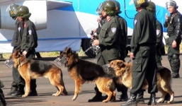 Hơn 100 cảnh sát cùng chó nghiệp vụ bao vây, đột kích phá ổ ma tuy