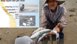 Nguyên nhân cá chết: Đã có đủ cơ sở khoa học để trả lời