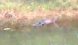 Hoảng hồn phát hiện thi thể người nổi trên mặt hồ