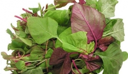 Tác dụng tuyệt vời của rau dền  đối với sức khỏe
