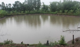 Bình Thuận: Ba anh em ruột chết đuối thương tâm dưới ao