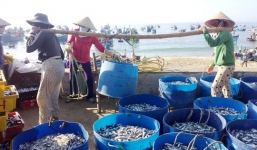 Ngư dân Bình Định trúng đậm cá dò