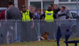 Chó dữ tấn công điên cuồng 14 trẻ em ở Anh