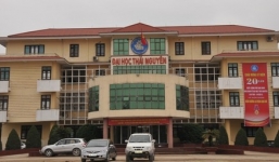 ĐH Thái Nguyên tạm dừng thi, cấp chứng chỉ tiếng Anh