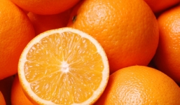 Những loại quả nên ăn trong mùa hè tốt cho sức khỏe