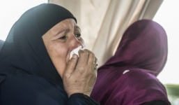 IS nhận là thủ phạm tấn công máy bay Ai Cập