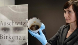 Phát hiện bí mật ẩn giấu dưới đáy cốc hơn 70 năm