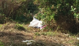 Phát hiện thi thể cô gái trẻ trong bao tải gần chung cư ở Sài Gòn