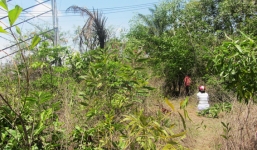 Phát hiện thi thể cụ bà trong rừng tràm