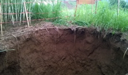 'Hố tử thần' bất ngờ xuất hiện ở Thanh Hóa