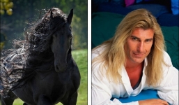 Chú ngựa đẹp 'như người mẫu Ý' khiến dân mạng phát sốt