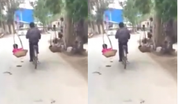Người đàn ông vừa đạp xe, vừa gánh 2 con trên trên vai