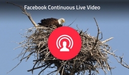 Facebook hỗ trợ cho phép người dùng phát video trực tiếp 24 giờ liền