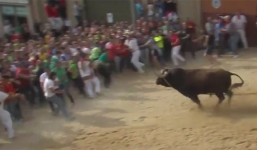 Video: Bò tót nổi điên vì bị hàng trăm người chọc tức giữa phố