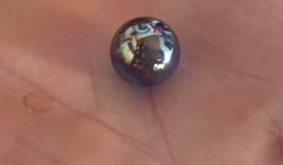 Video: Cận cảnh viên 'ngọc quý' tiền tỷ lấy từ bụng ếch gây xôn xao