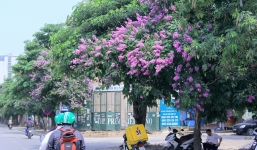 Từ 1/6, miền Bắc đón đợt nắng nóng mới