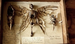 Phát hiện xác của 'người sói', 'nàng tiên' trong biệt thự