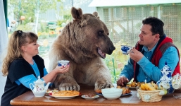 Lạ kỳ gia đình 20 năm ăn ngủ cùng gấu khủng 136kg