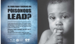 Cơ thể nhiễm chì nguy hiểm thế nào?