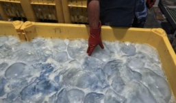 Kinh hãi công nghệ làm thực phẩm giả của Trung Quốc