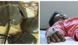 Bốn người nguy kịch vì 'nhậu' nhầm so biển