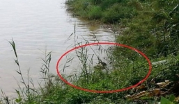 Bắc Ninh: Phát hiện thi thể nam thanh niên dưới sông