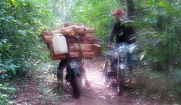 Kiểm lâm nổ súng thị uy, một lâm tặc trúng đạn tử vong