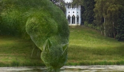  Chú mèo khổng lồ siêu thực thu hút triệu lượt xem trên Facebook