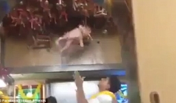 Video trẻ sơ sinh bị quăng quật gây phẫn nộ