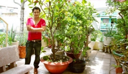 Bên trong ngôi nhà của 'nam diễn viên có cát-xê cao nhất' Lý Hùng