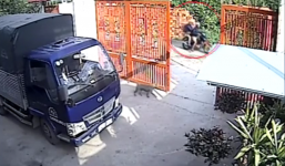 2 'cẩu tặc' hạ gục chó sau 5 giây ở Sài Gòn