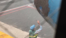 Hy hữu: Bầy ong bám đặc mũi máy bay Vietnam Airlines