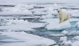 Sau 100.000 năm, Bắc Cực lần đầu tiên có thể tan chảy hoàn toàn