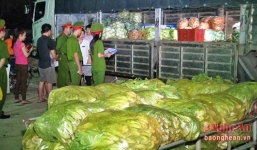 Phát hiện rau cải Trung Quốc chứa chất bảo quản gấp 8 lần 