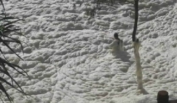 Video: Bọt biển khổng lồ nhấn chìm một người đàn ông 