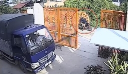 Video: 2 thanh niên táo tợn trộm chó ngay trước cửa nhà trong 5 giây